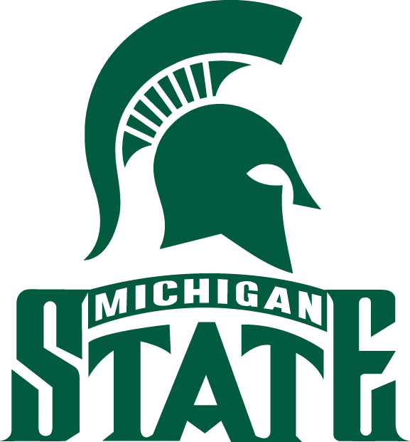 Michigan State Spartans 1987-Pres Alternate Logo DIY iron on transfer (heat transfer)